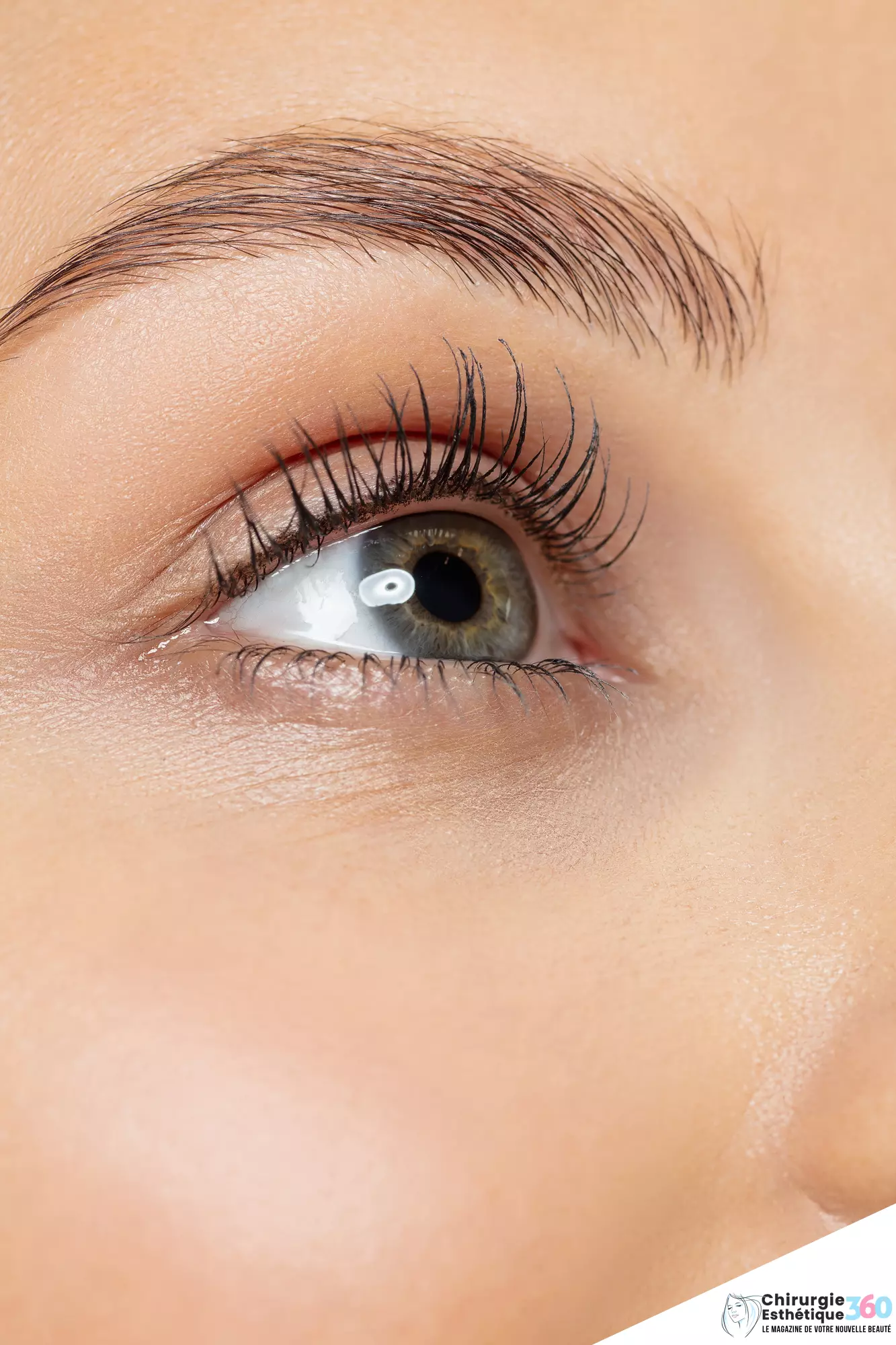 Photo de sourcils